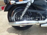     Harley Davidson Sportster XL1200C 2004  14
